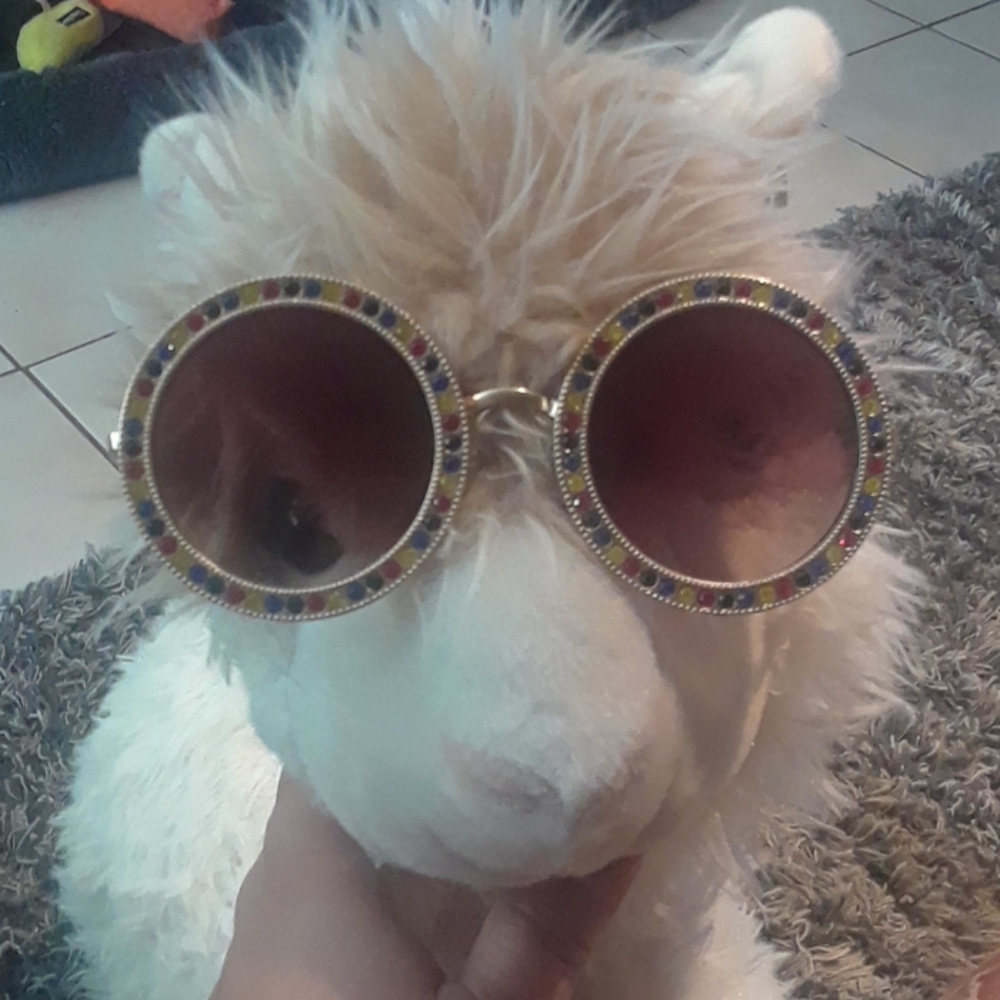 NWOT OVERSIZED Round  Sunglasses